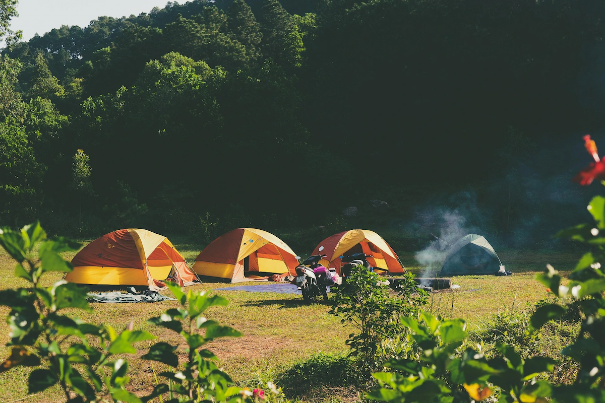 Tents on a camping site